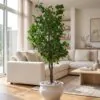 Ficus Danielle 170 cm styled in an interior — Neon Jungle Studios