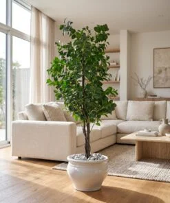 Ficus Danielle 170 cm styled in an interior — Neon Jungle Studios