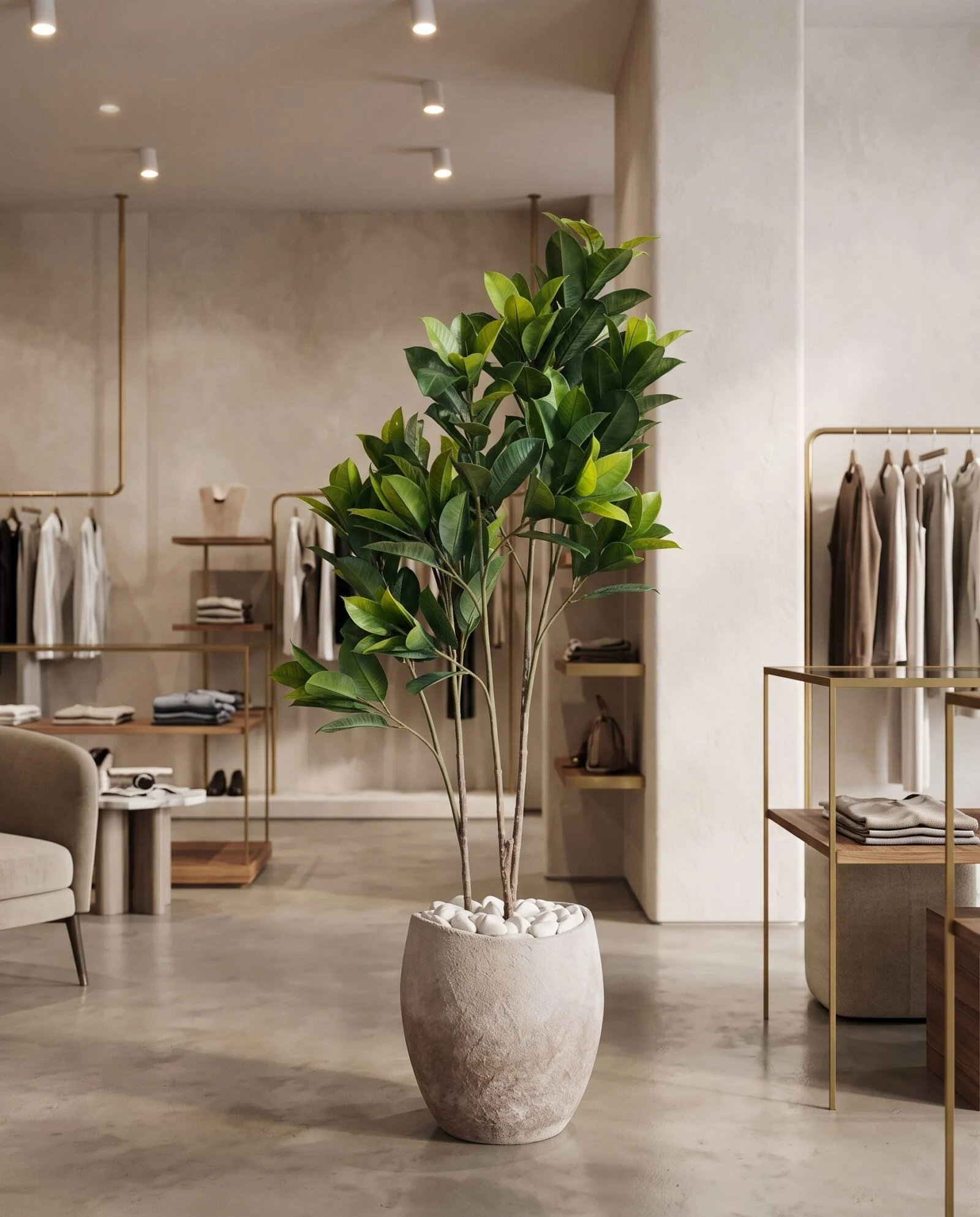 Ficus Elastica 140 cm 3 trunks styled in an interior — Neon Jungle Studios