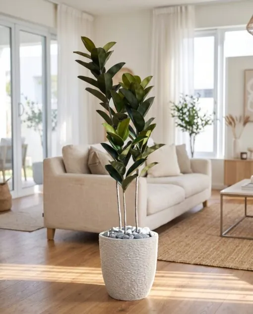 Ficus Elastica 150 cm 3 trunks styled in an interior — Neon Jungle Studios