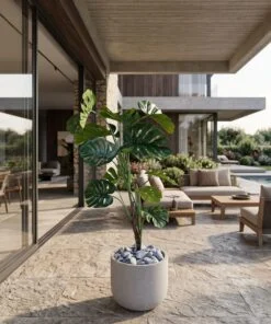 Monstera Deliciosa 120 cm styled in an interior — Neon Jungle Studios