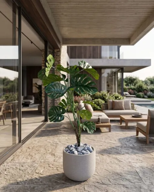 Monstera Deliciosa 120 cm styled in an interior — Neon Jungle Studios