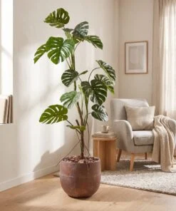Monstera Deliciosa 160 cm styled in an interior — Neon Jungle Studios