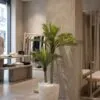 Phoenix Palm 115 cm 2 trunks styled in an interior — Neon Jungle Studios
