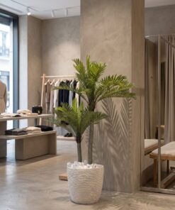 Phoenix Palm 115 cm 2 trunks styled in an interior — Neon Jungle Studios