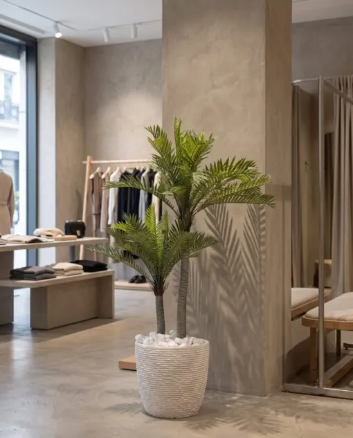 Phoenix Palm 115 cm 2 trunks styled in an interior — Neon Jungle Studios