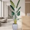 Traveller's Palm 160 cm styled in an interior — Neon Jungle Studios
