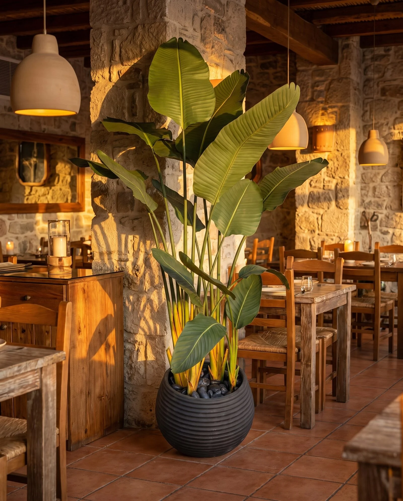 Traveller's Palm 180 cm styled in an interior — Neon Jungle Studios
