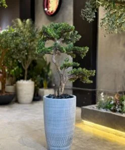 Verona Ribbed Ceramic