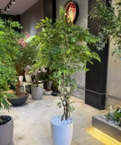 Milano Ceramic Planter