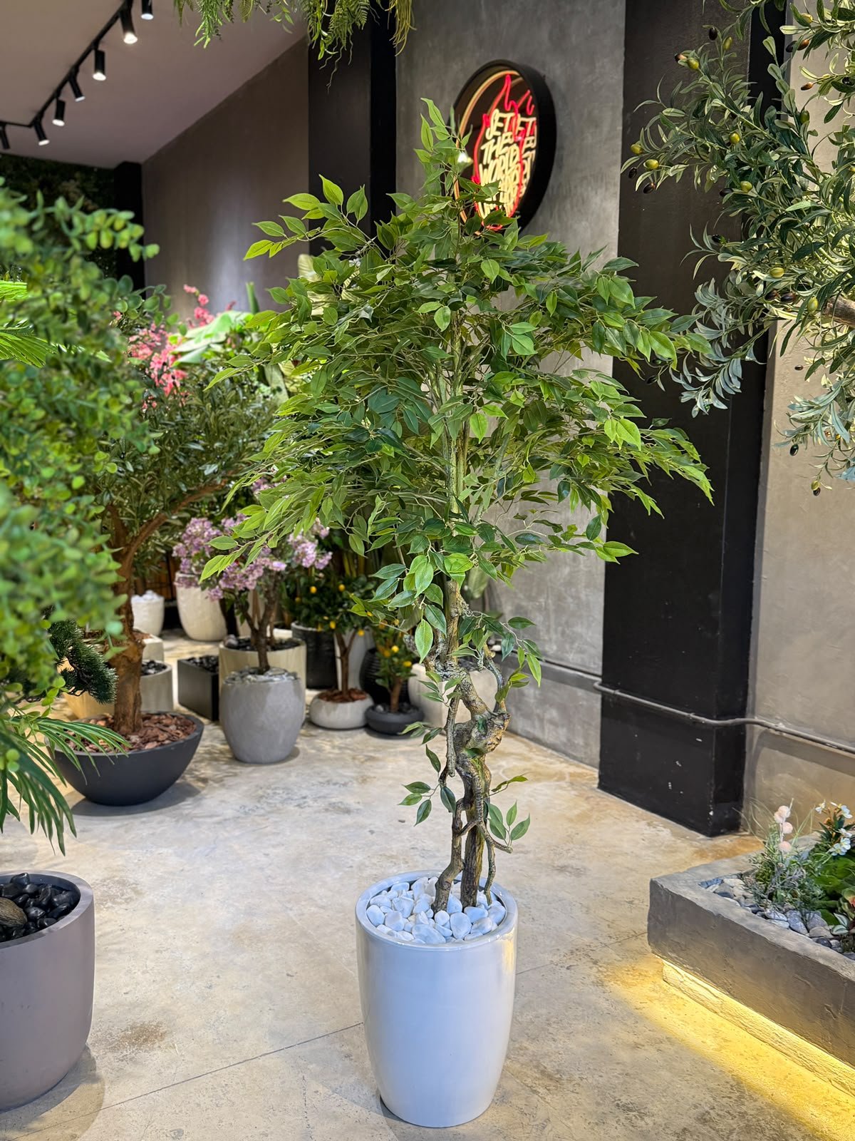 Milano Ceramic Planter - Image 2