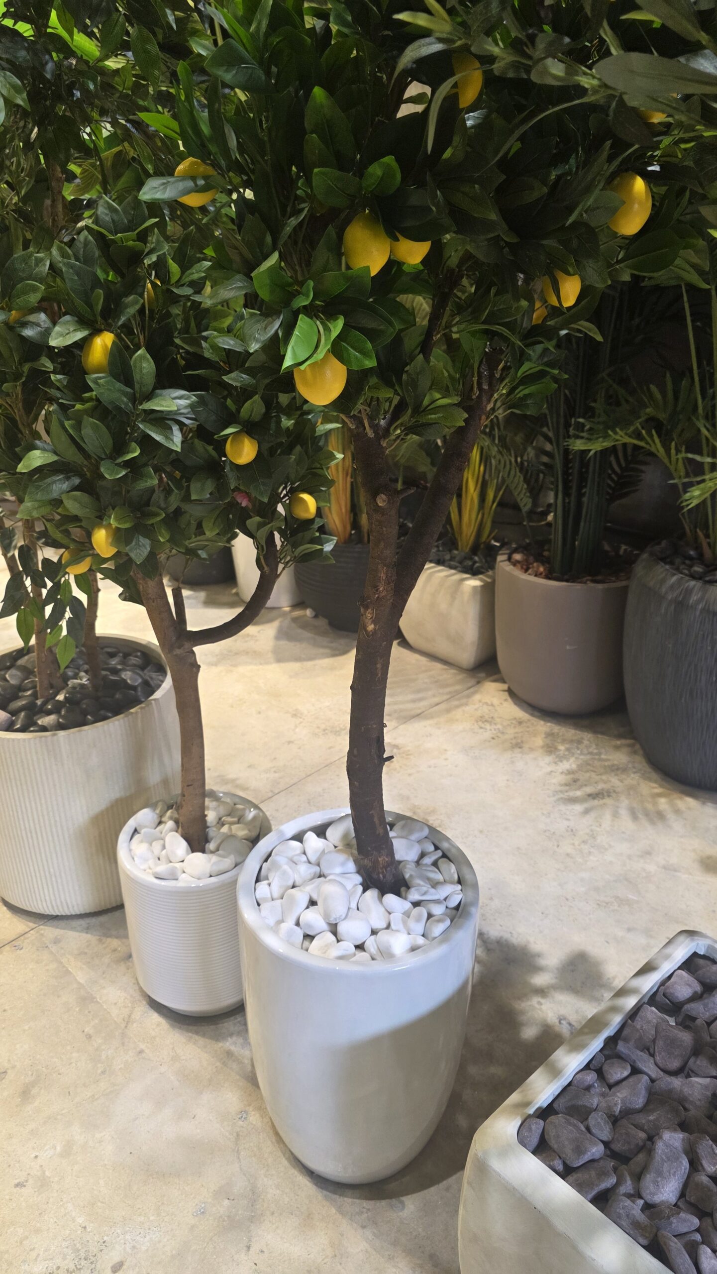 Milano Ceramic Planter - Image 3