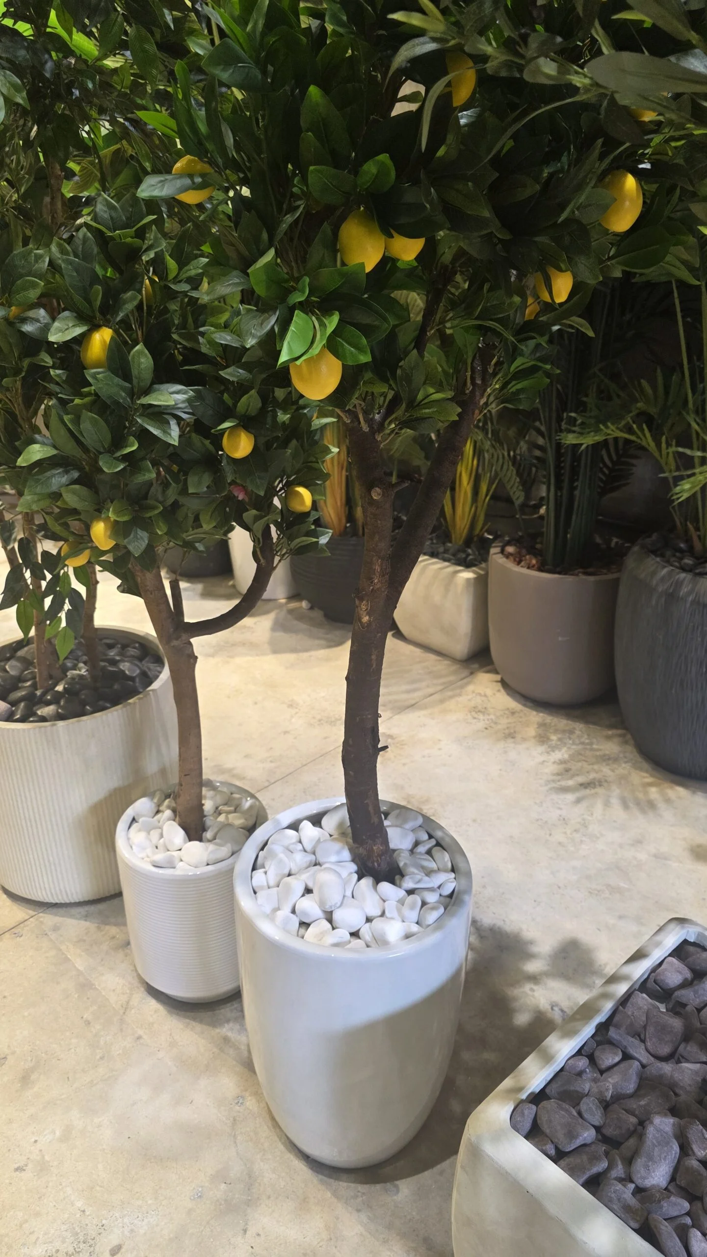 Milano Ceramic Planter