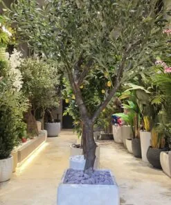 Dune Fiber Planter