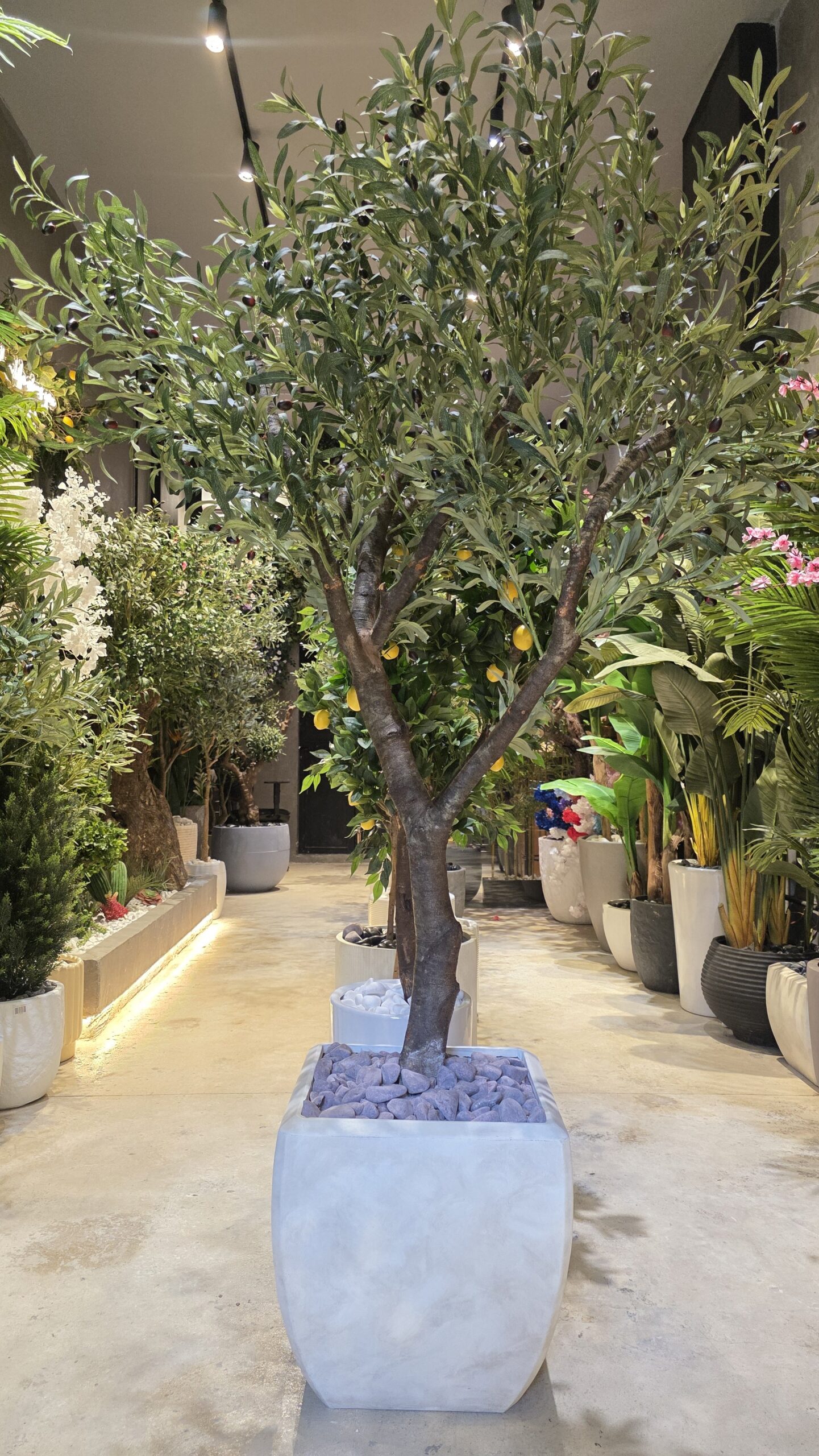 Dune Fiber Planter - Image 2