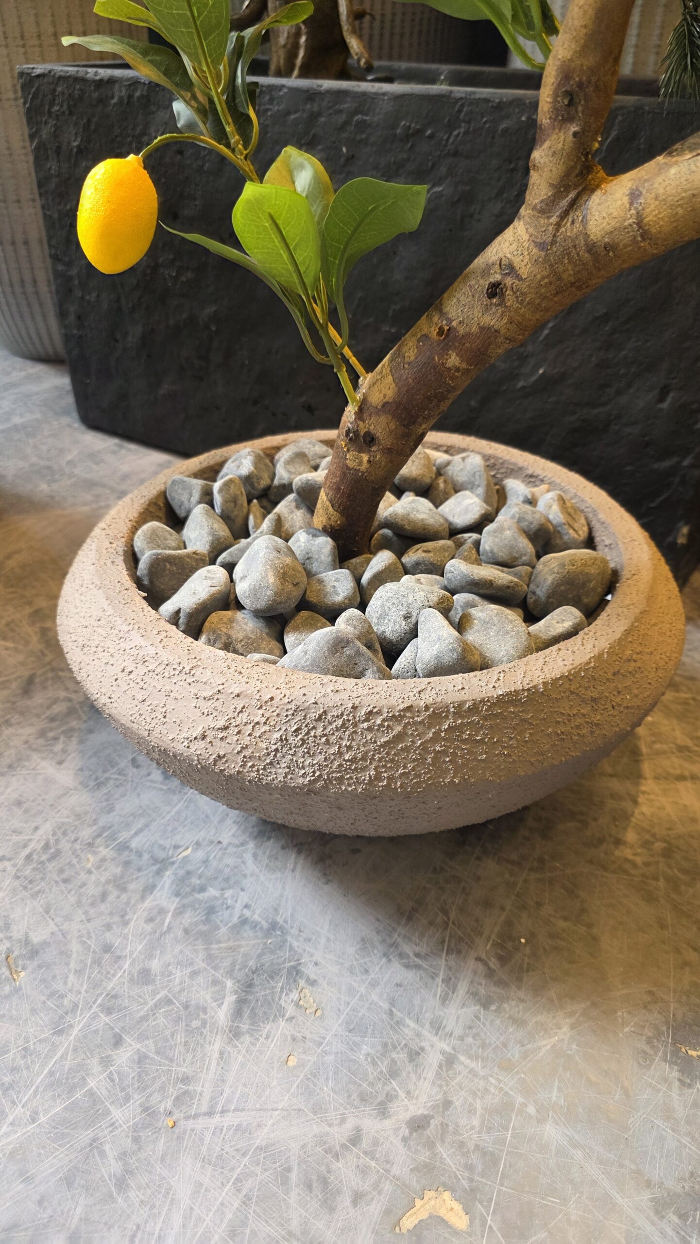 Halo Fiber Planter - Image 6