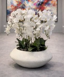 Halo Fiber Planter