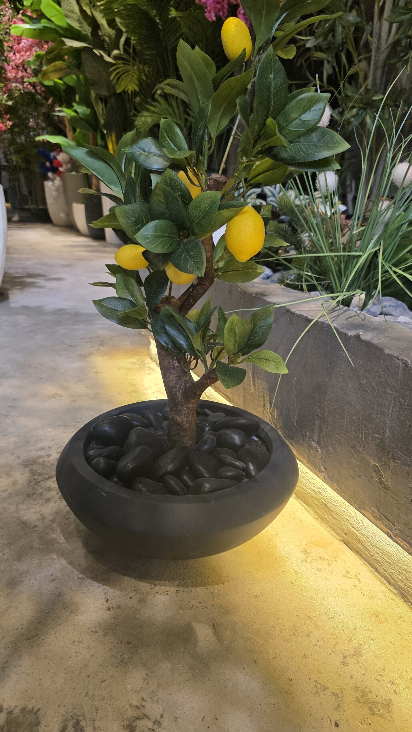 Halo Fiber Planter - Image 7