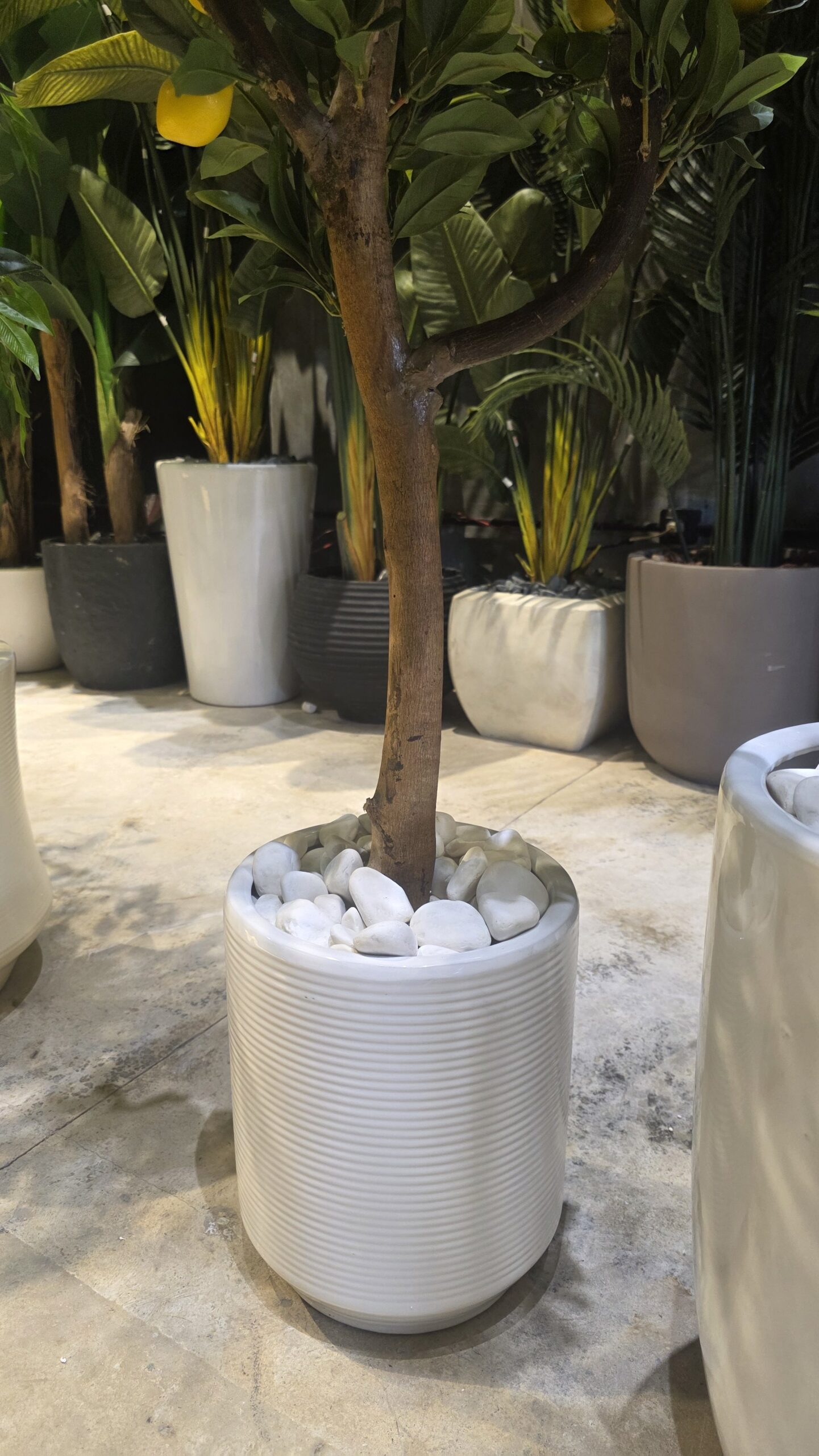 Striped Ceramic Planter - Image 2