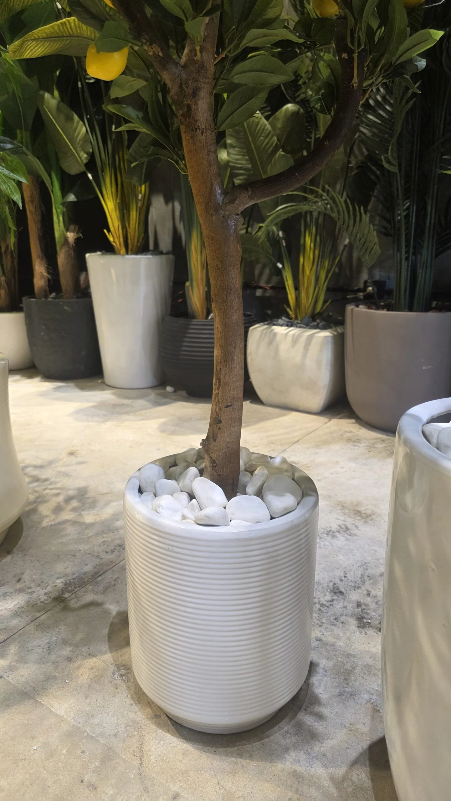 Striped Ceramic Planter