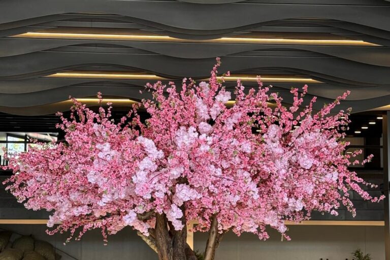 Cherry blossom tree · Commercial interior
