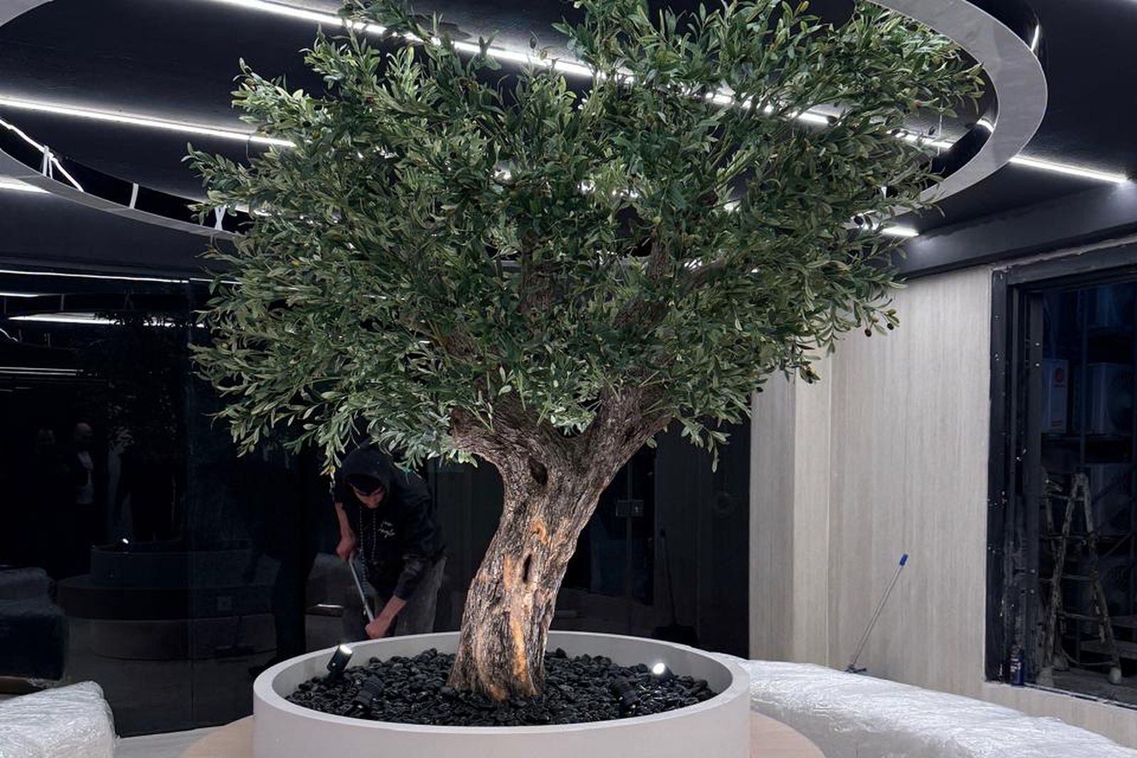 Artificial olive tree in a custom round planter in a retail interior in Lebanon