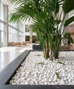 decorative pebbles - White 20 kg (1 bag) styled in an interior — Neon Jungle Studios