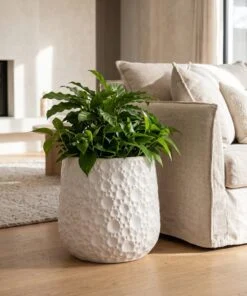 New Ceramic Moon White styled in an interior — Neon Jungle Studios