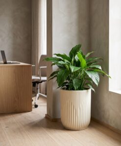 New Ceramic Ribbed Design Beige styled in an interior — Neon Jungle Studios