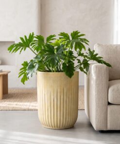 New Ceramic Ribbed Design Vintage styled in an interior — Neon Jungle Studios