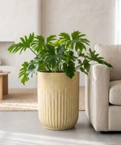 New Ceramic Ribbed Design Vintage styled in an interior — Neon Jungle Studios