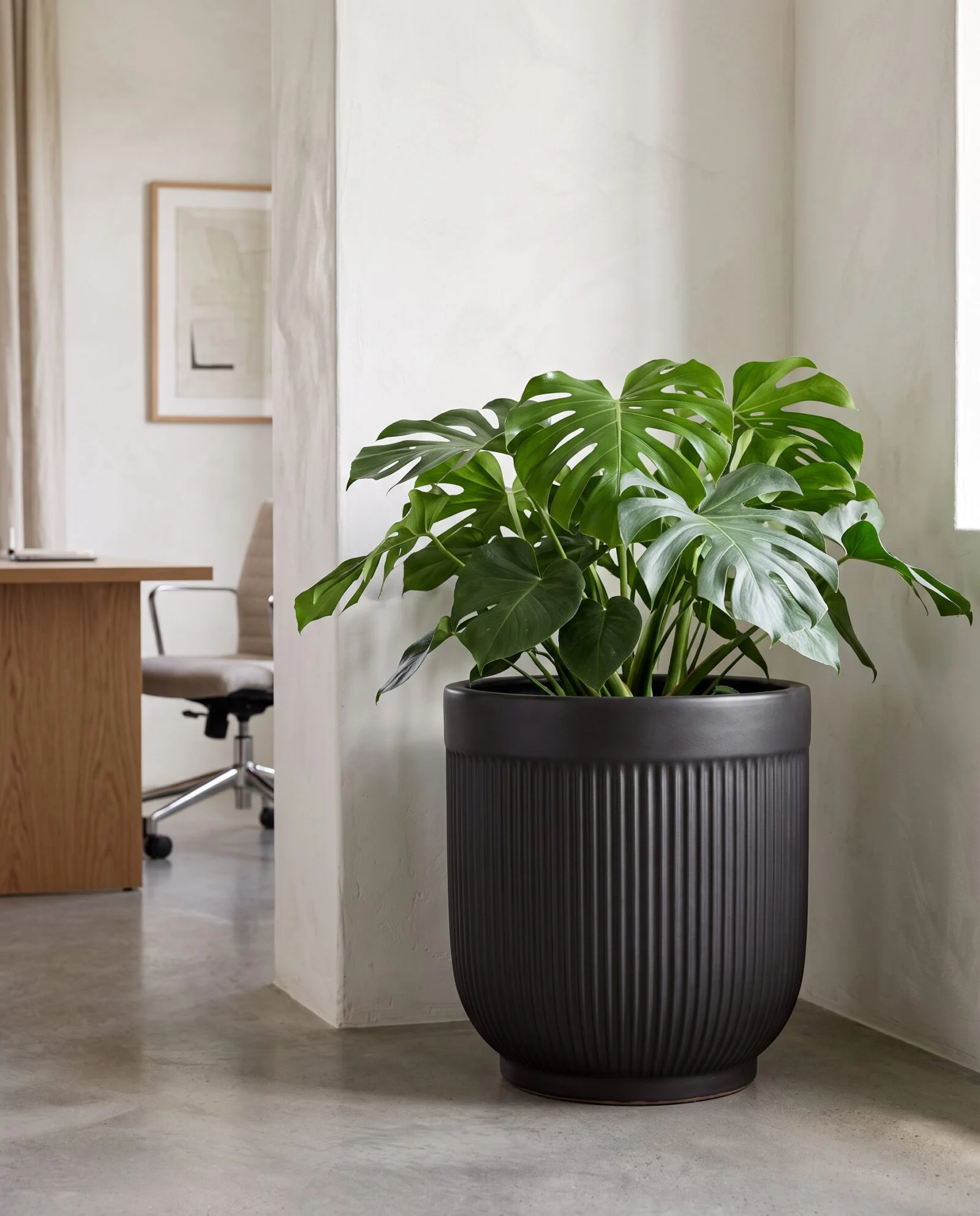 New Ceramic Ribbed Matte Black styled in an interior — Neon Jungle Studios