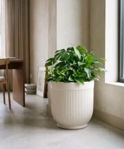 New Ceramic Ribbed Matte White styled in an interior — Neon Jungle Studios