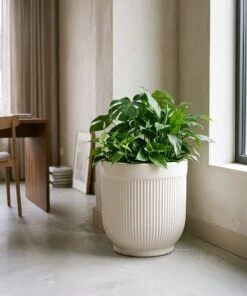 New Ceramic Ribbed Matte White styled in an interior — Neon Jungle Studios