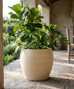New Ceramic Ribbed Round Beige styled in an interior — Neon Jungle Studios