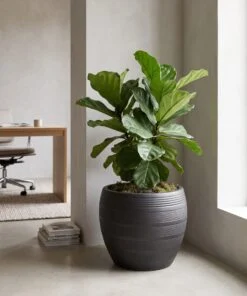 New Ceramic Ribbed Round Matte Black styled in an interior — Neon Jungle Studios