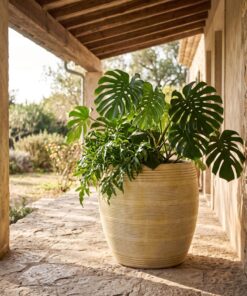 New Ceramic Ribbed Round Vintage styled in an interior — Neon Jungle Studios