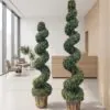 Spiral Topiary Tree styled in an interior — Neon Jungle Studios