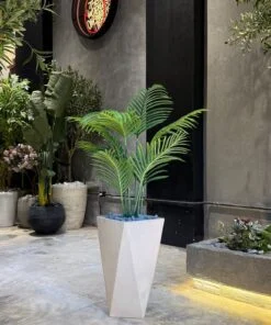 Areca Plant 100 cm