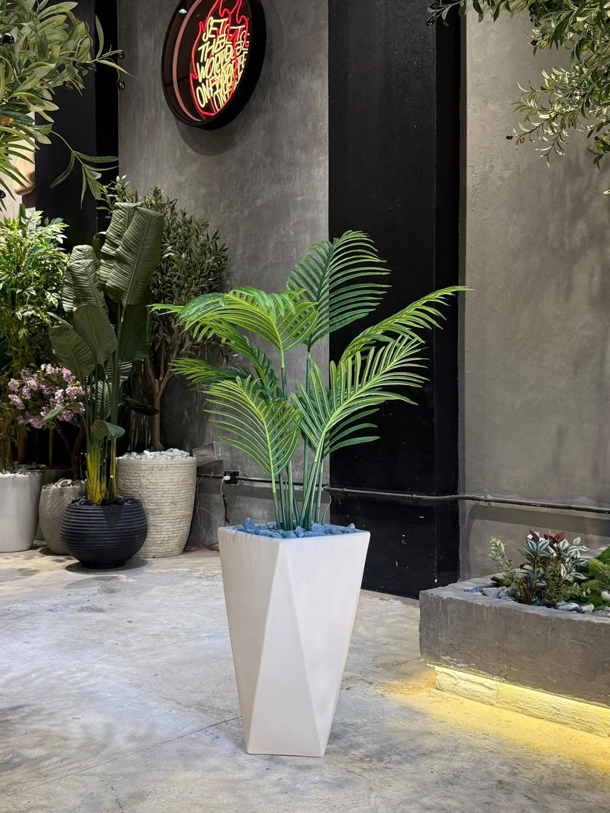 Plante Areca 100 cm