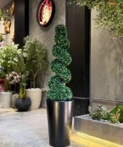 Spiral Topiary Tree 160 cm