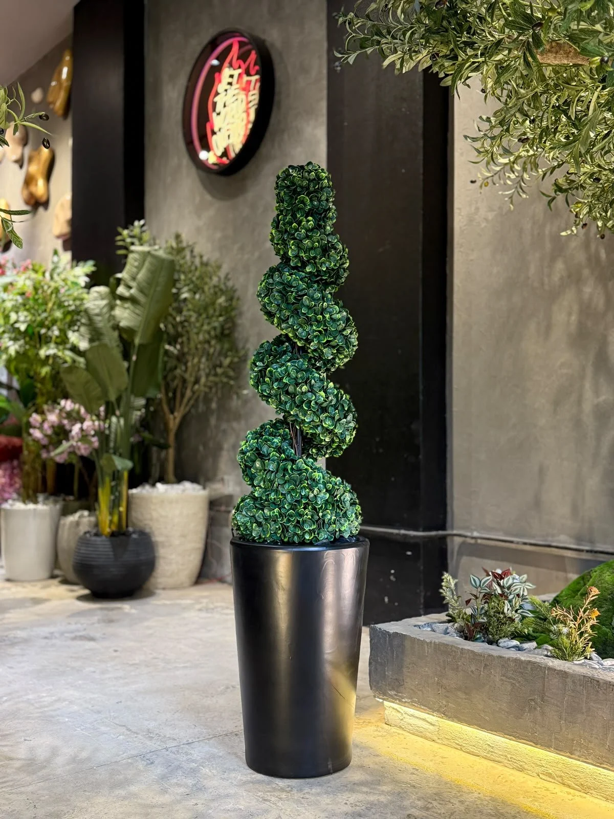 Topiaire spirale 160 cm
