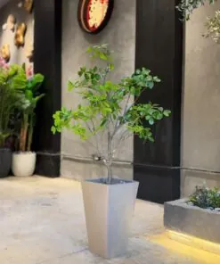 Schefflera Arboricola Tree 110 cm – artificial tree, Lebanon