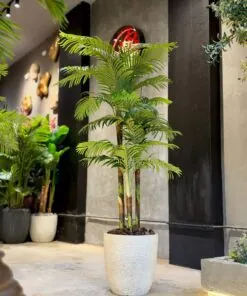 Areca Palm 3 Trunks 210 cm Green – artificial palm, Lebanon