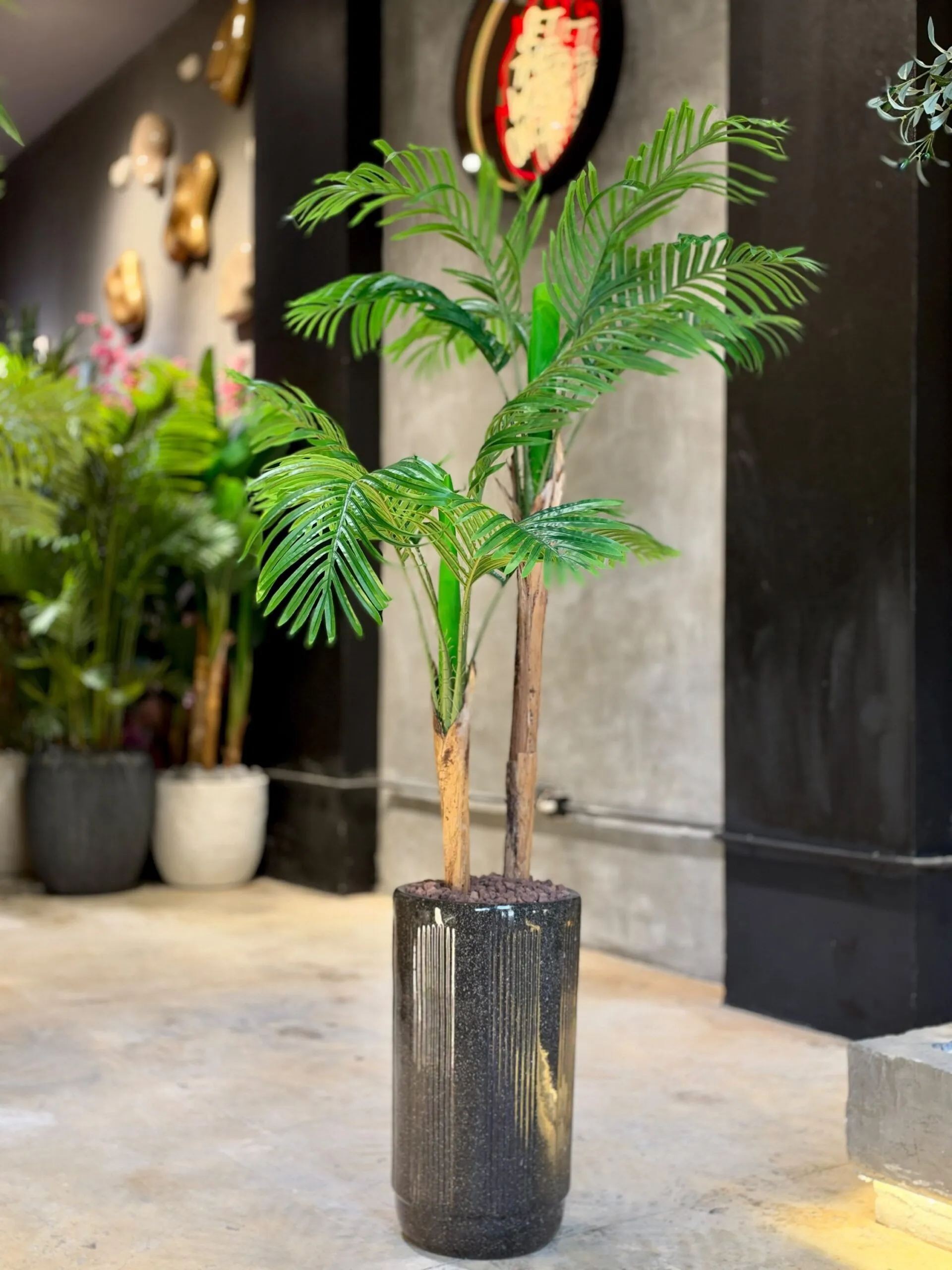 Areca Palm 2 Trunks 150 cm - Image 2