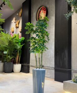Schefflera Arboricola Multi-Stem Tree 130 cm – artificial tree, Lebanon
