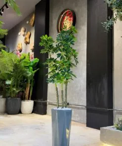 Schefflera Arboricola Multi-Stem Tree 130 cm – artificial tree, Lebanon