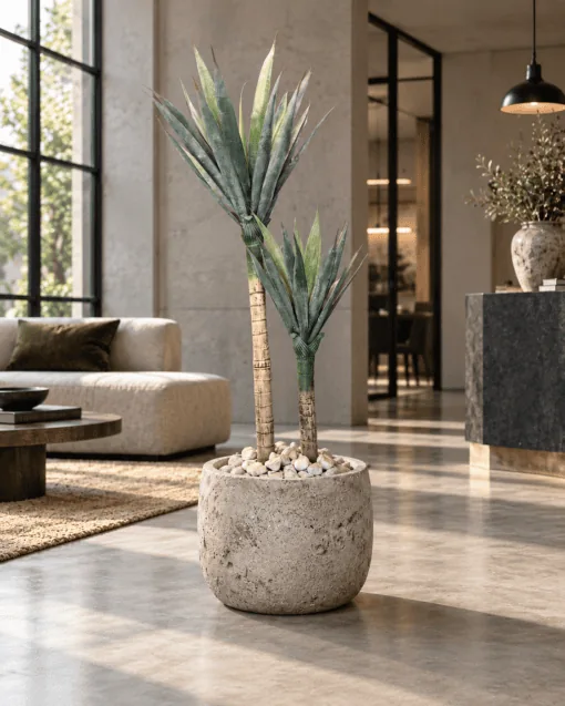 Palmier Yucca à 2 troncs 160 cm