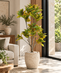 Croton Tree - Yellow 130 cm styled in an interior — Neon Jungle Studios