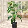 Alocasia Plant 160 cm styled in an interior — Neon Jungle Studios